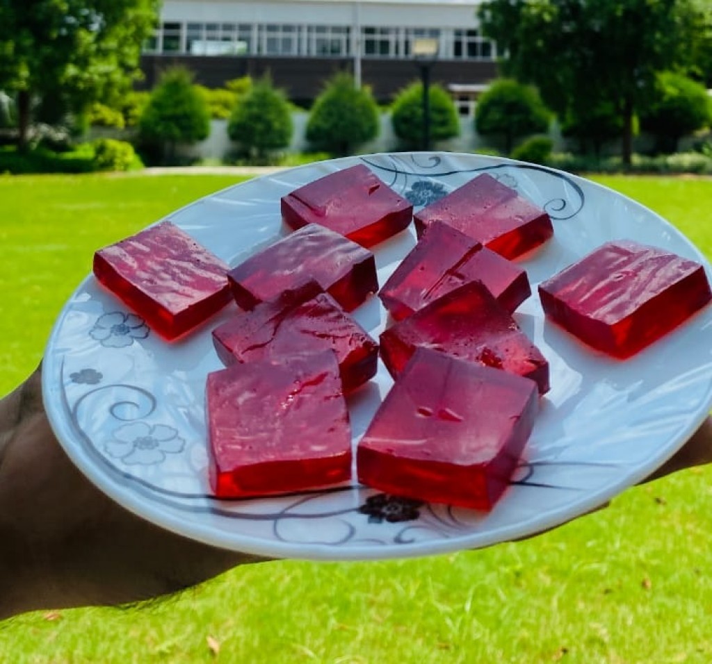 Red Guava Katli 